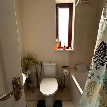 Проживание в семье - Millfield Ньюбридж